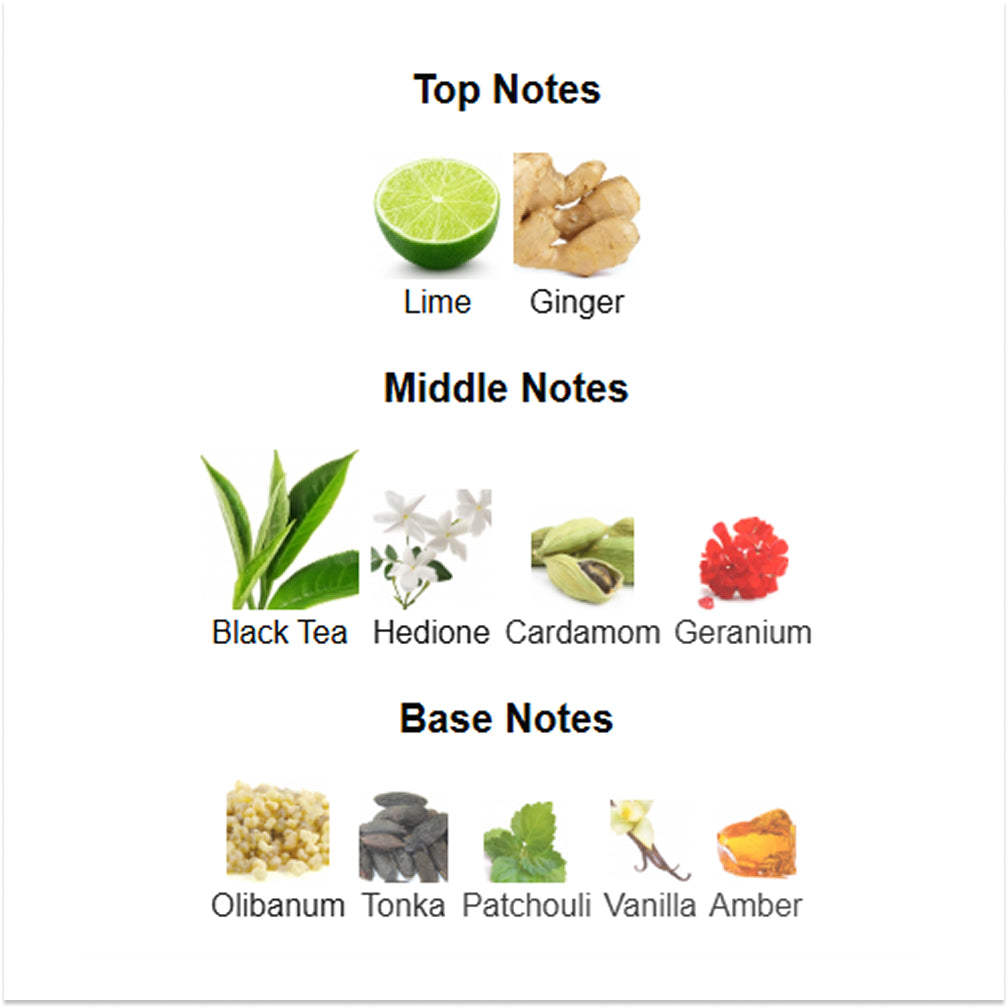 French Avenue Aromatix Teas Me image 1
