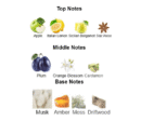 Rasasi Hawas Ice for Men