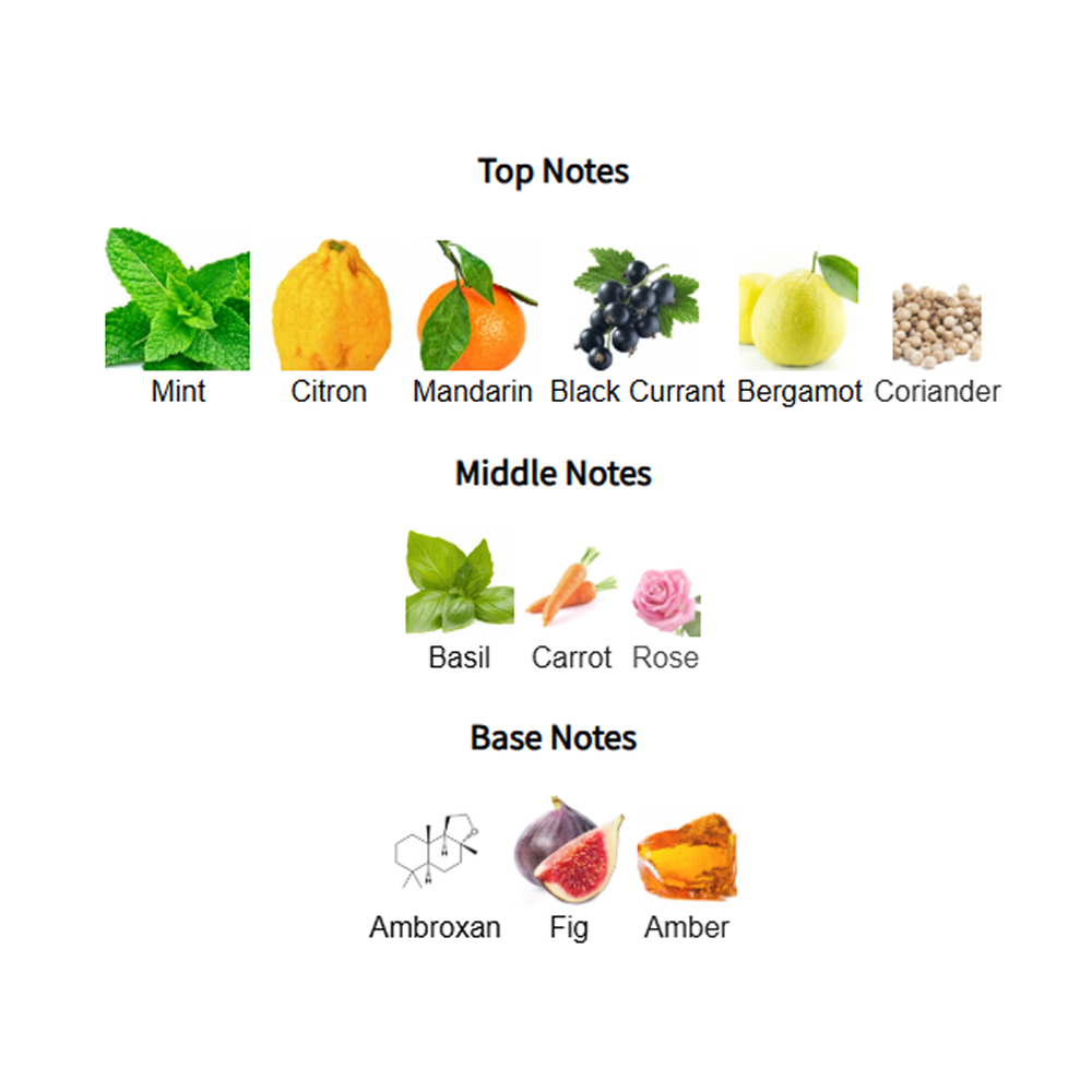 Rayhaan Pacific Aura Notes