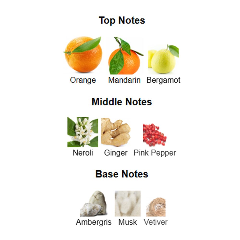 Rayhaan Adonis Icarus Notes